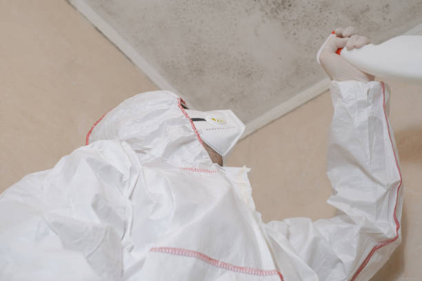 Best Health and Safety Mold Remediation in Oroville, WA