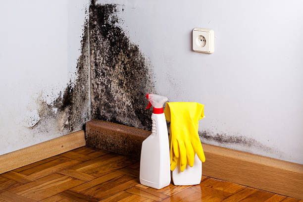 Oroville, WA Mold Remediation Company